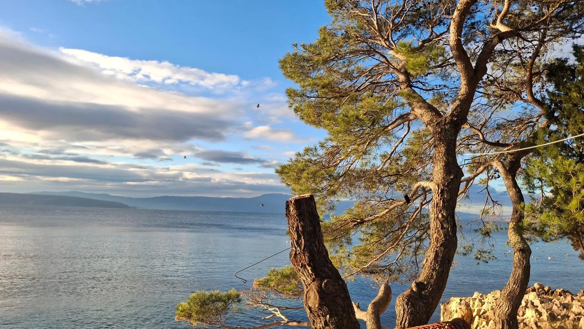 Apartman Ivona Na 1. Katu Malinska Croatia