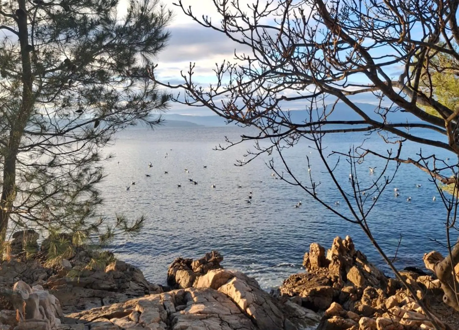 Apartment Apartman Ivona Na 1. Katu Malinska Croatia